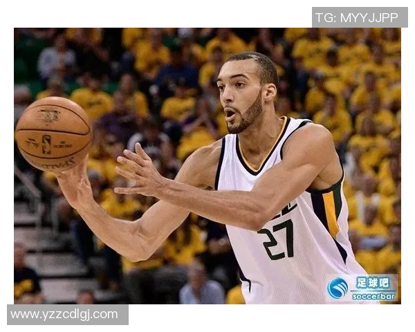 法国21号足球明星的辉煌历程与未来展望分析