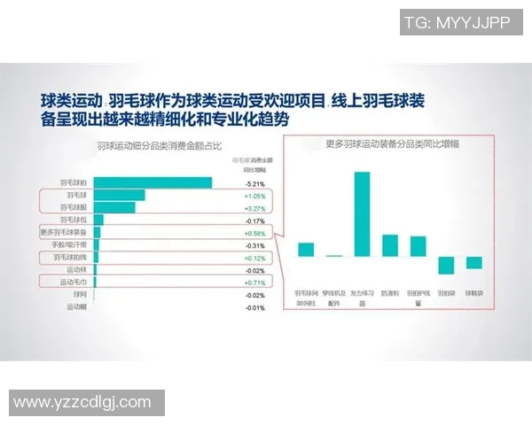 杭州羽毛球队意识表现的深度数据分析与提升策略探讨 杭州羽毛球队意识表现的深度数据分析与提升策略探讨